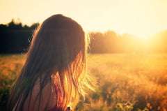 watch the sunrise