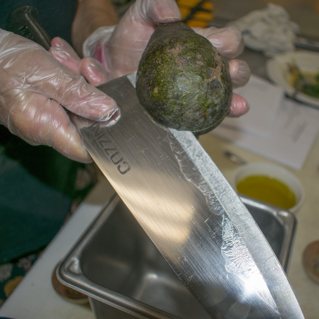 avocado aip diet