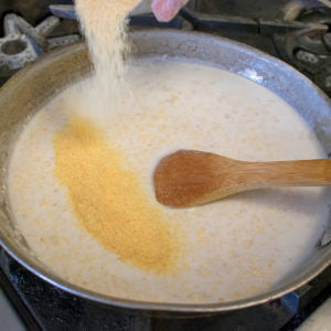 Pour in garlic powder to the AIP grits
