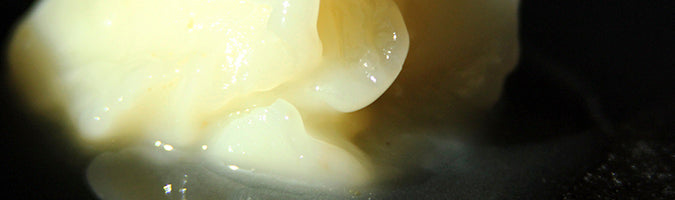 Melting Duck Fat