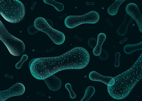 microbiome builders - aip diet