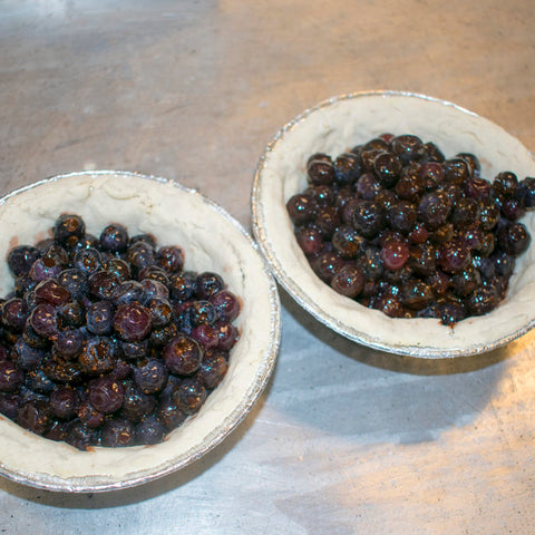 place blueberries in pie crust