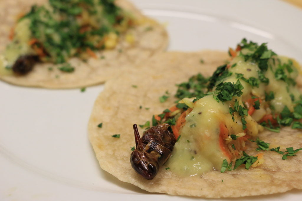 AIP Grasshopper Tacos