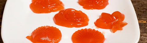 AIP Watermelon Gummies