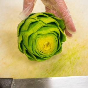 AIP Artichoke