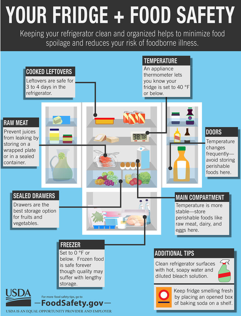 fridge food safety
