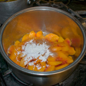 AIP Peach Cobbler Fruit Topping Ingredients