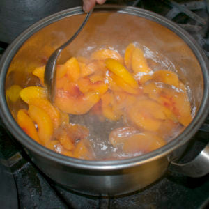 Once all fruit topping ingredients are in the saucepan, cook over low heat