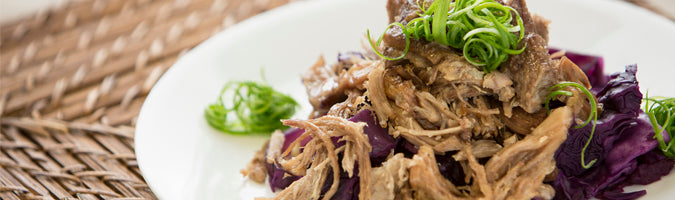 autoimmune protocol food